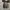 Converse Allstar Low Black White photo 7