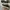Converse Allstar Low Black White photo 2