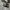 Converse Low Allstar Black White photo 1