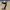 The North Face Minimalist Short Pria cream photo 3