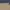 The North Face Minimalist Short Pria cream photo 6