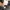 Backpack Oakley Bathroom Sink Stealth Black  photo 8