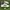 Adidas superstar  photo 1