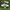 Adidas superstar  photo 1