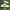 Adidas superstar  photo 1