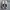 Adidas superstar  photo 3