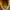 Timberland Boots Yellow Icon 44 photo 8