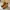 Timberland Boots Yellow Icon 44 photo 3