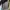 Jual Atasan merk Hijabchic photo 5