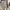Jual Atasan merk cottontren photo 3
