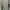 Jual Atasan merk cottontren photo 1