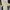 Polo Shirt Tommy Hilfiger S