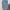 UNIQLO RIPPED JEANS 35-36 photo 6