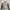 Columbia Windbreaker Pria gray photo 1
