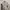 Columbia Windbreaker Pria gray photo 5