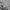 EMEMELGE BASIC FONT LOGO photo 5