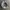 Vintage Y2K Hat Pria white green photo 2