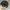 Topi Raiders NFL photo 2
