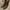 Yves Saint Laurent YSL Luxury Avant Garde Boots Pria tan photo 2
