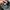 SALOMON XT6 GORE-TEX photo 8