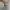 Sneakers Nike Montreal 17 Electro Green photo 5