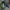 Adidas Casual Casual shoe Pria navy photo 1