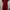 Casual Midi Dress Wanita Burgundy