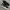 Reebok Streetwear Casual Sneakers Pria white black photo 1