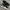 Reebok Streetwear Casual Sneakers Pria White Black