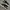 Reebok Streetwear Casual Sneakers Pria white black photo 3