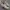 Nike Streetwear Casual Sneakers Pria tan photo 1