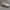 Nike Streetwear Casual Sneakers Pria tan photo 5