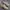 Nike Streetwear Casual Sneakers Pria tan photo 2