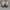 Nike Streetwear Casual Sneakers Pria tan photo 6