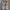 Nike Streetwear Casual Sneakers Pria tan photo 4