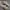 Nike Streetwear Casual Sneakers Pria tan photo 3