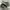 Nike Streetwear Casual Sneakers Pria Green Black