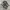 Nike Streetwear Casual Sneakers Pria green black photo 3