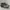 Nike Streetwear Casual Sneakers Pria green black photo 5