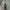 Nike Streetwear Casual Sneakers Pria green black photo 7