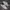 Nike Streetwear Casual Sneakers Pria white black photo 2