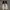 Nike Streetwear Casual Sneakers Pria white black photo 4