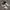 Nike Streetwear Casual Sneakers Pria white black photo 1