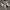 Nike Streetwear Casual Sneakers Pria white black photo 3