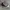 Converse Streetwear Casual Sneakers Pria white black photo 5
