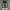 Converse Streetwear Casual Sneakers Pria white black photo 4