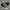 Converse Streetwear Casual Sneakers Pria white black photo 2