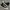 Converse Streetwear Casual Sneakers Pria White Black