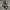 Converse Streetwear Casual Sneakers Pria white black photo 3