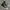 Converse Streetwear Casual Sneakers Pria white black photo 1